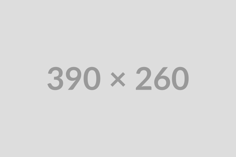 390×260@2x